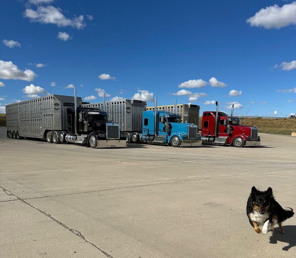 Future13 truck serving Western Canada freight lanes
